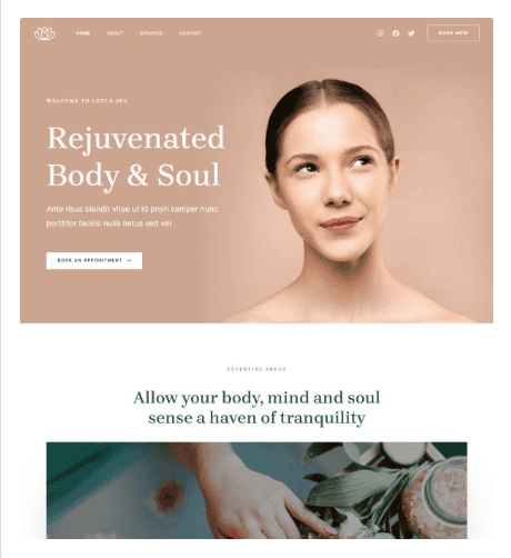 Premium Site website sample preview