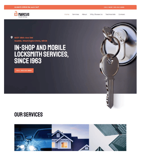 Professional Site website sample preview