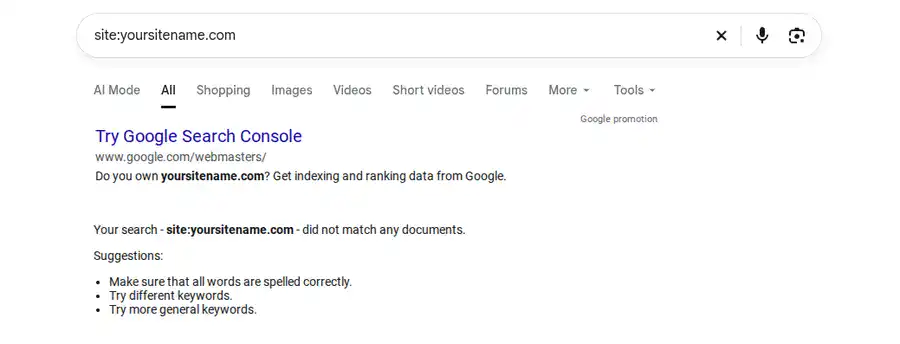 Website not showing on Google, with a site search returning no matching results